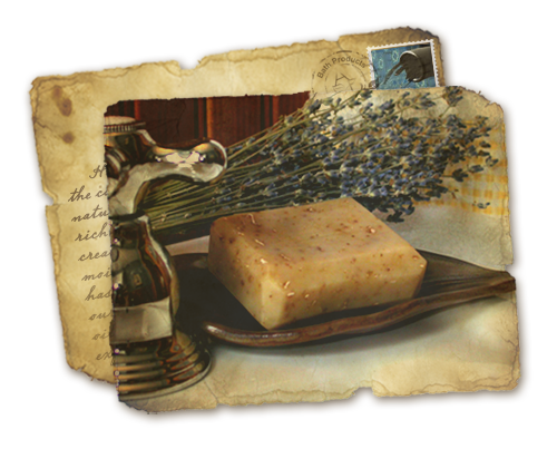 OliveOilSopas